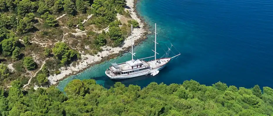 Yacht tied to the trees